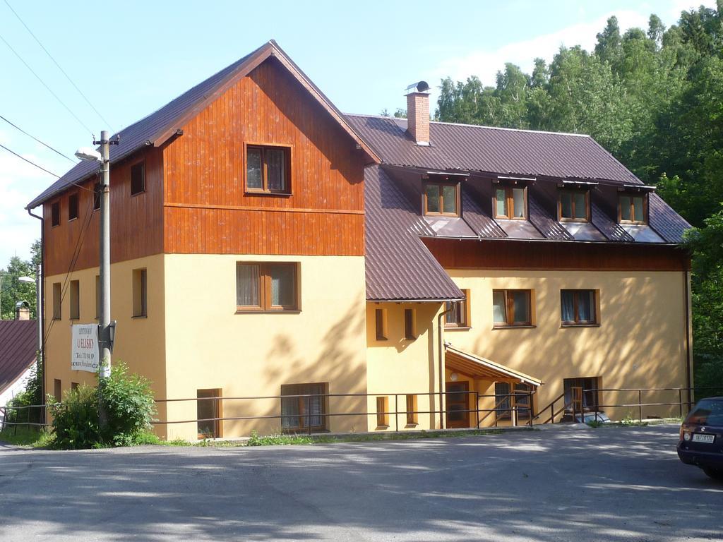 Penzion U Elisky Bedrichov V Jizerskych Horach Luaran gambar